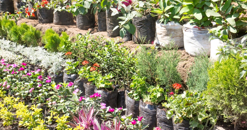 Top Lesser-Known Souqs in Kuwait That Locals Love