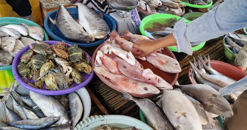 Top Lesser-Known Souqs in Kuwait That Locals Love