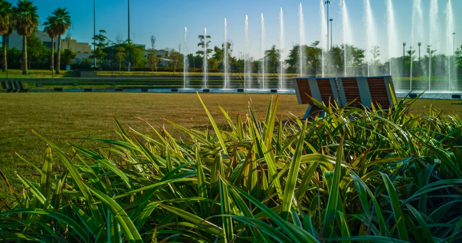 Sustainable Kuwait: Green Initiatives and Eco-Friendly Spots